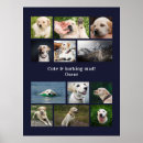 Suche nach hunde agility poster Dogs