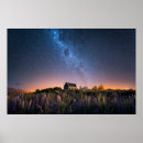 Suche nach neuseeland poster Lupine