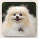 Suche nach loulou untersetzer Sitzen