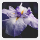 Suche nach japanische blumen aufkleber Natur