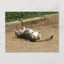 Suche nach maul postkarten Niedlich