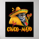 Suche nach mexikanische kultur poster Cinco de mayo feiern