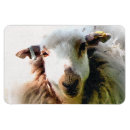 Suche nach schuh magnete Tiere