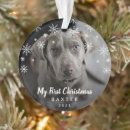 Suche nach niedlicher hund ornamente Für haustiere