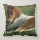 Suche nach miniatur kissen Bob langrish