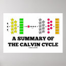 Suche nach zyklus poster Bildung