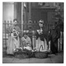 Suche nach blume des lebens fliesen Von