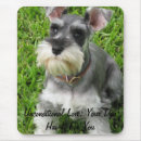 Suche nach schnauzer mini Haustiere