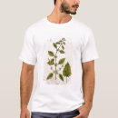 Suche nach balsam Botanisch