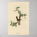 Suche nach vintage amerika poster America