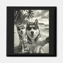 Suche nach sibirischer husky magnete Lustig