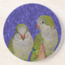 Suche nach parkett untersetzer Papagei