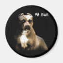 Suche nach pitbull magnete Hund