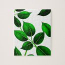 Suche nach grün blätter puzzle Pflanze