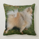 Suche nach zungen kissen Foto