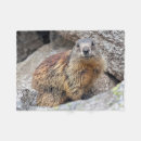 Suche nach murmeltier decken Eichhörnchen