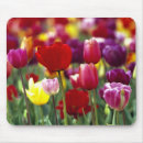 Suche nach nordwest mousepads Pazifischer nordwesten