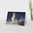 Suche nach denali nationalpark karten Winter