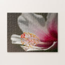 Suche nach hibiskus puzzle Natur