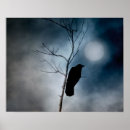 Suche nach crow poster Natur