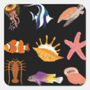 Suche nach muscheln aufkleber Qualle
