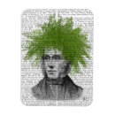 Suche nach farne magnete Blume