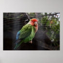 Suche nach einsamer baum poster Farben