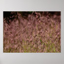 Suche nach gras poster Feld