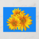 Suche nach gelbe blüten postkarten Vielen dank