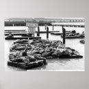 Suche nach pier Weiß