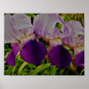 Suche nach blume foto poster Blumenfotografie