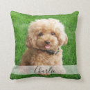 Suche nach katzen beileid geschenke Dogs