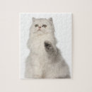 Suche nach katzenartig puzzle Katzenphotographie