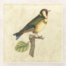 Suche nach vogel untersetzer Tier