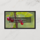 Suche nach rote beeren visitenkarten Natur