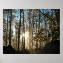 Suche nach wälder poster Herbst