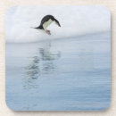 Suche nach pinguine untersetzer Tiere