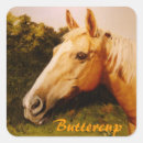 Suche nach palomino aufkleber Für kinder