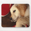 Suche nach keine schuhe mousepads Hund