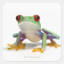 Suche nach frosch aufkleber Spaß