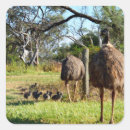 Suche nach emu aufkleber Tierwelt