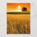 Suche nach abgelegener poster postkarten Baum