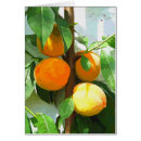 Suche nach obstbäume karten Pfirsichbäume