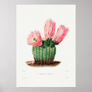 Suche nach kaktus poster Illustration