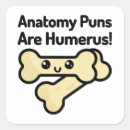 Suche nach anatomie aufkleber Knochen