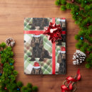 Suche nach cocker spaniel weihnachten Tiere