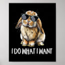 Suche nach holland poster Kaninchen