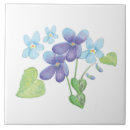 Suche nach veilchen untersetzer Botanisch