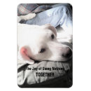 Suche nach labrador welpe magnete Lustig