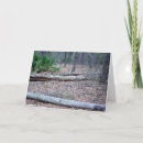 Suche nach kiefer einiges karten Wald